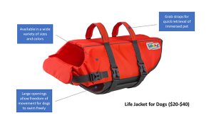 dog life jacket